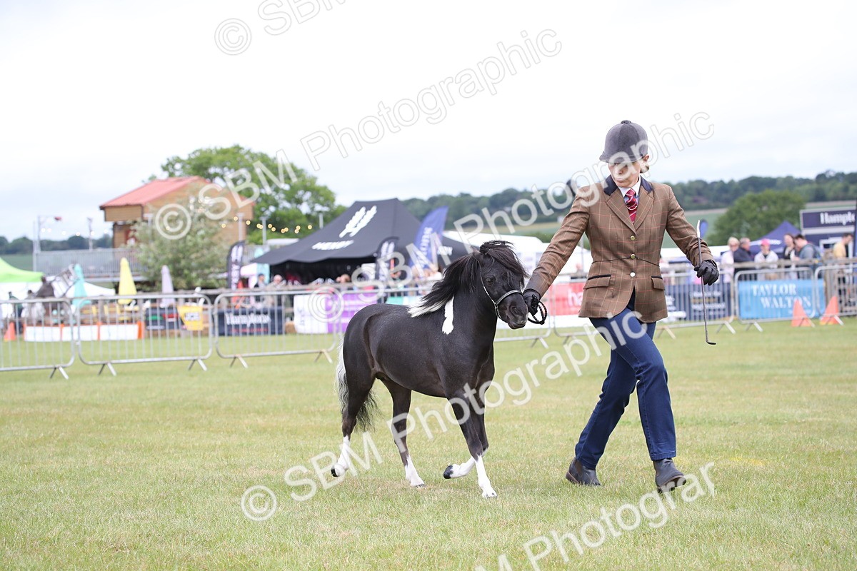SBM_03772 - Class 23-25 - British Miniature Horse of the Year