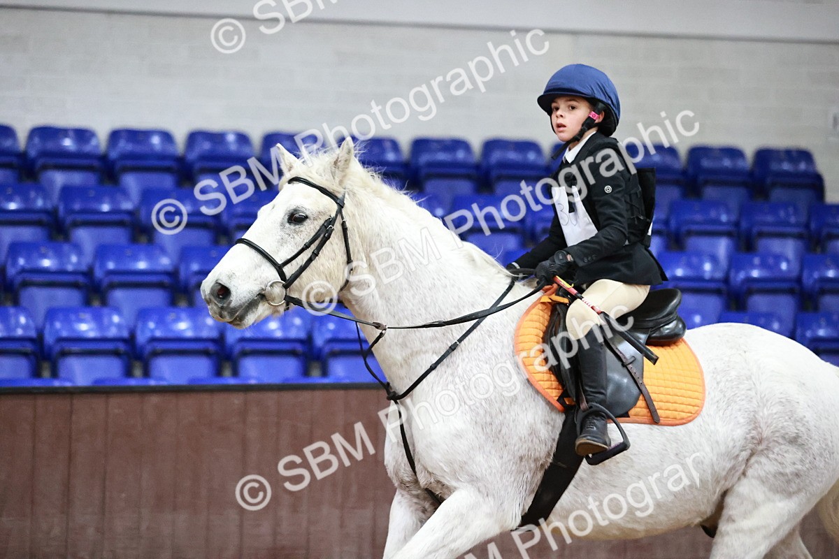 SBM_000310 - Class 2 - Show Jumping 50cm
