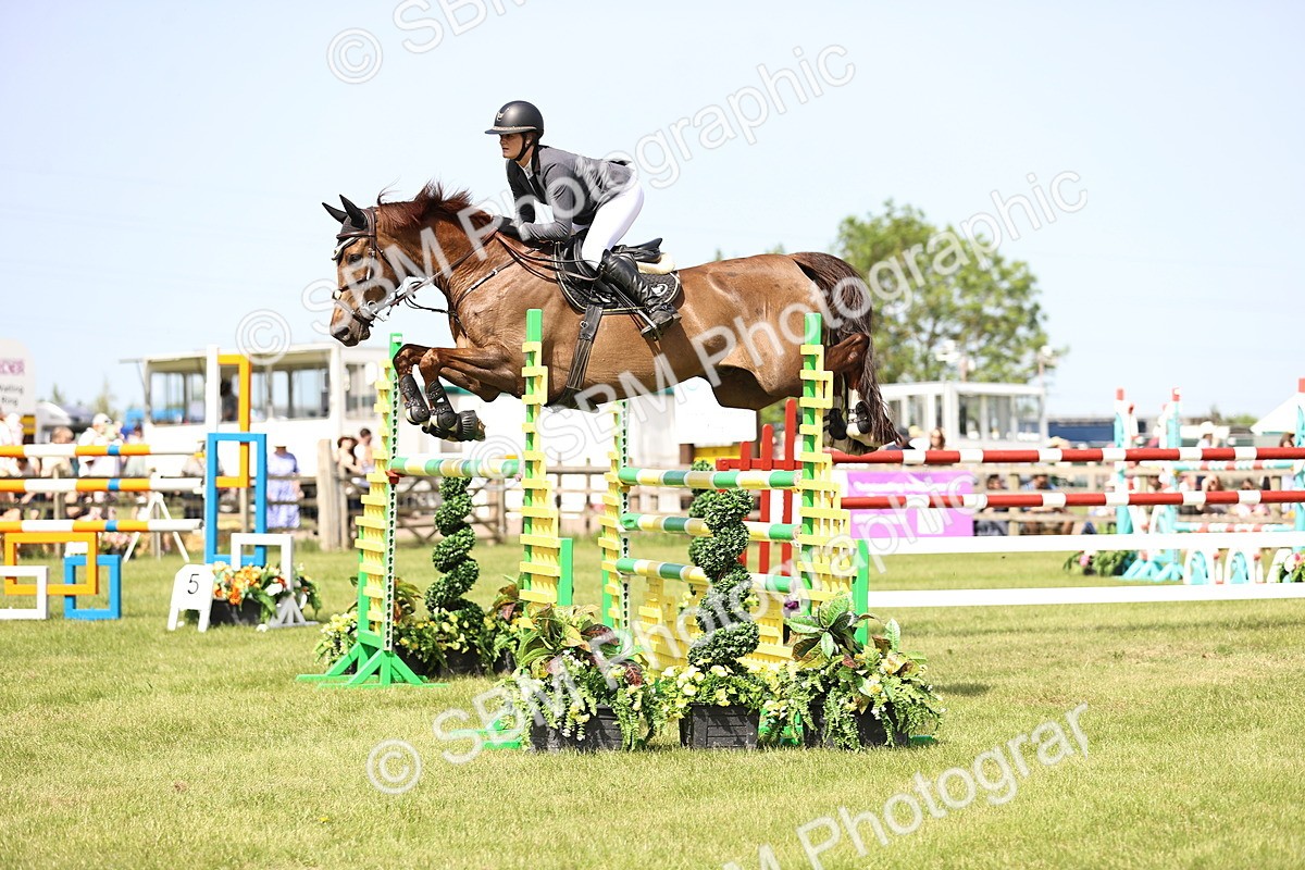 SBM_03186 - Class 201 - British Horse Feedds Speedi Beet HOYS Grade C