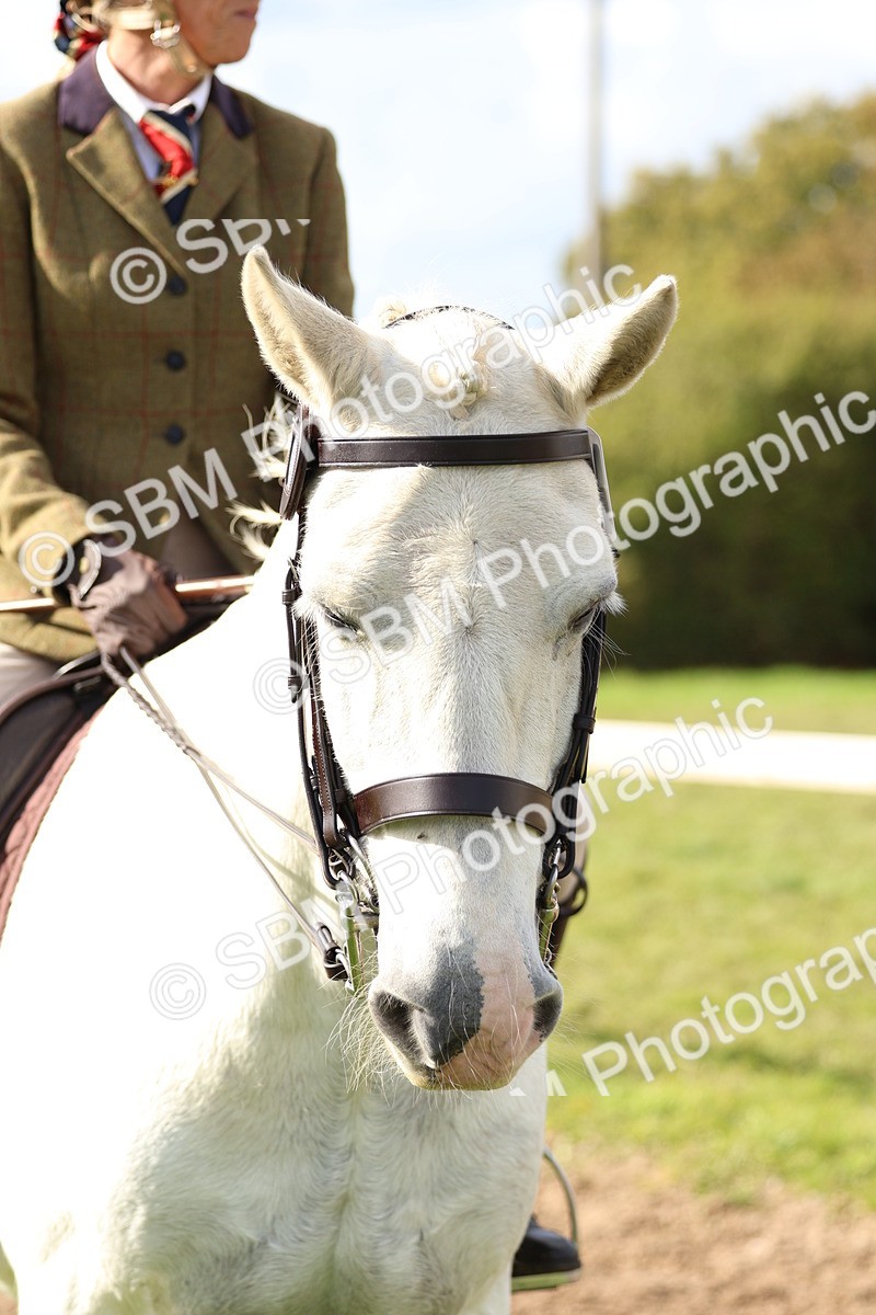 SBM_47801 - S28 - Veteran Ridden