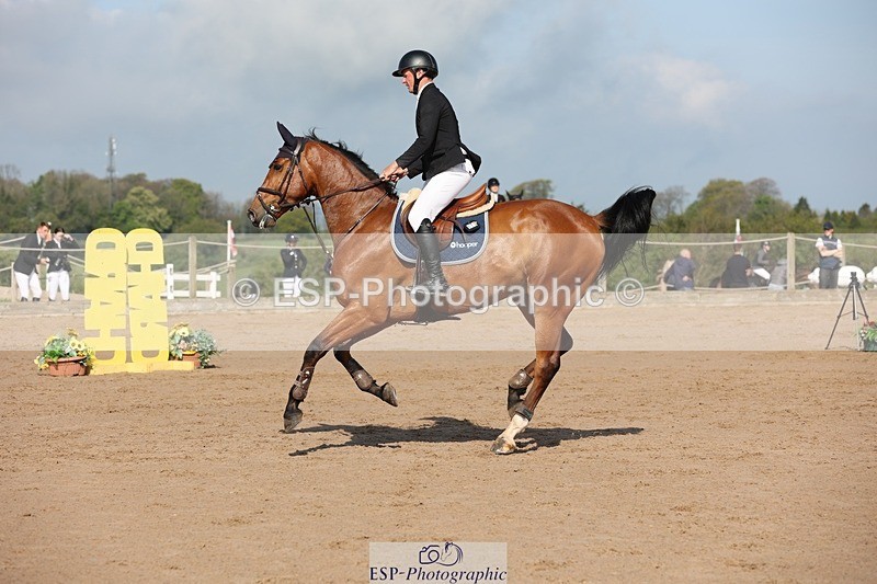 250427-100115-15200 - Cls 32 Young Horse 6yr old