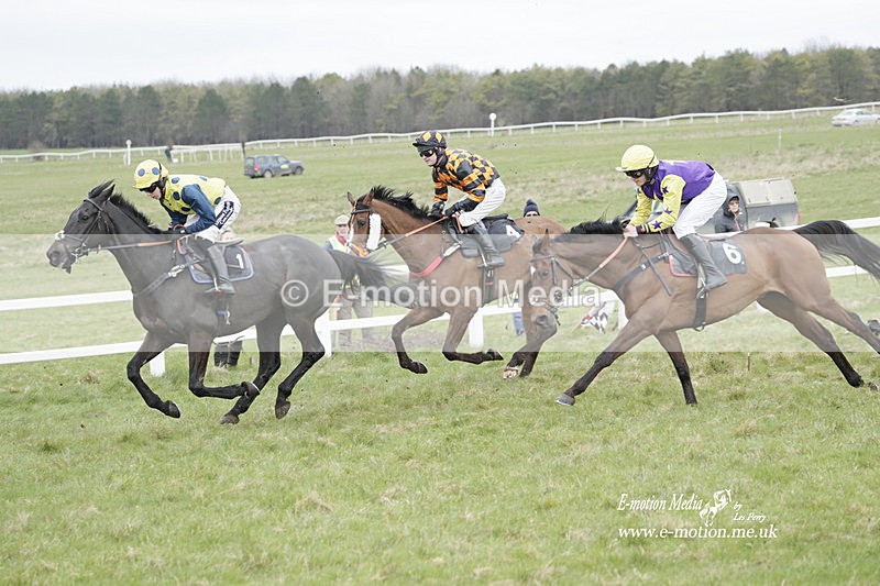 PtP 260323 0818 - New Forest Hounds Point-to-Point Larkhill 26/03/23