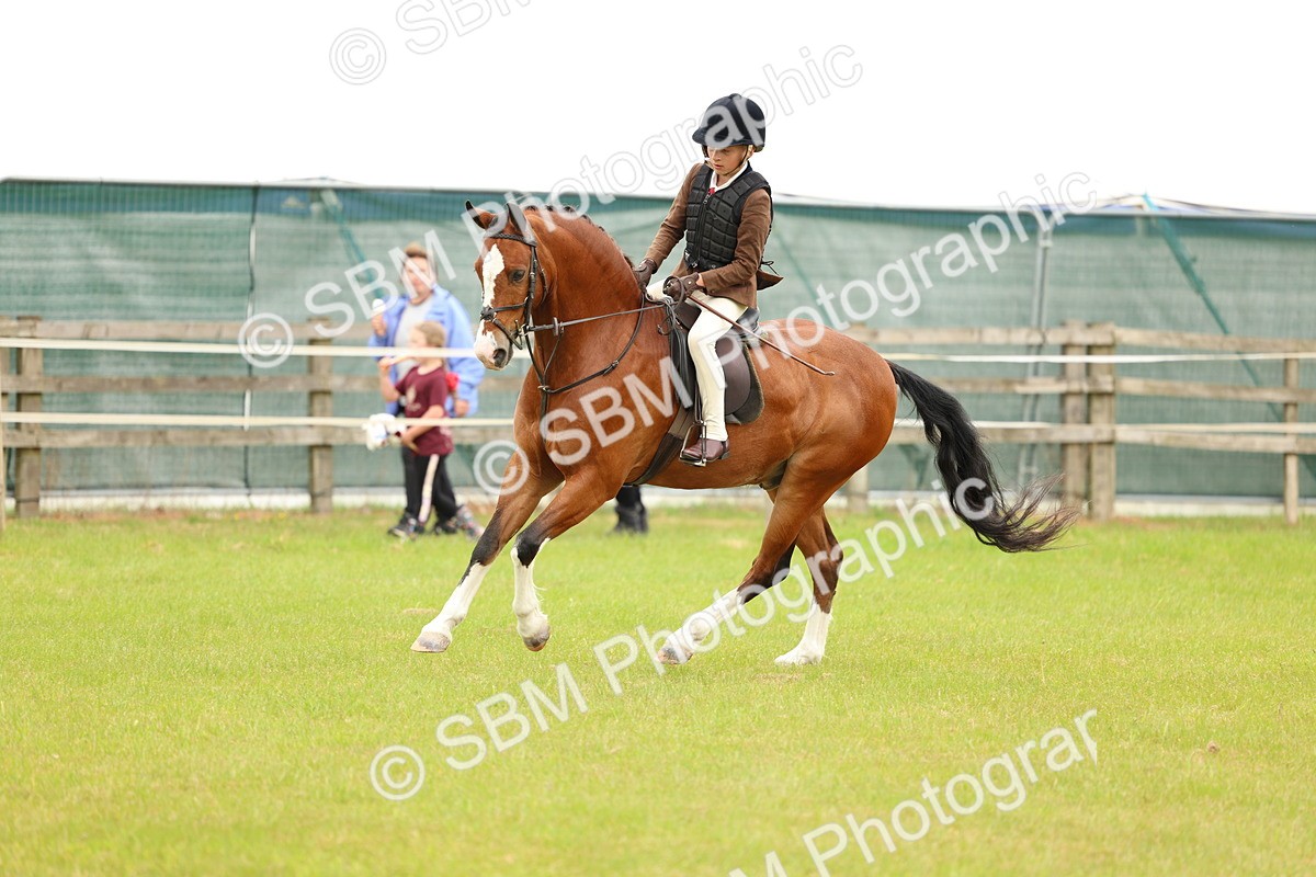 SBM_10226 - Class 44-45 - LIHS BSPS Open Nursery and Cradle Stakes