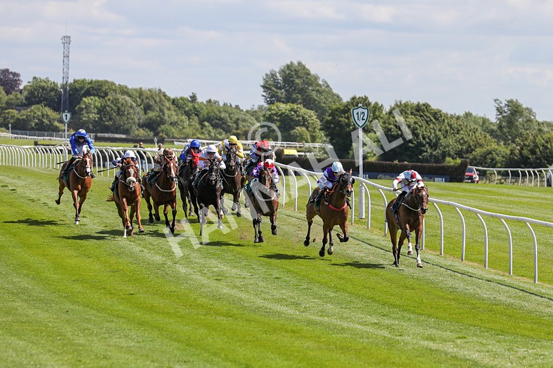 080624-Race 2-Patontheback-4595 - Race 2