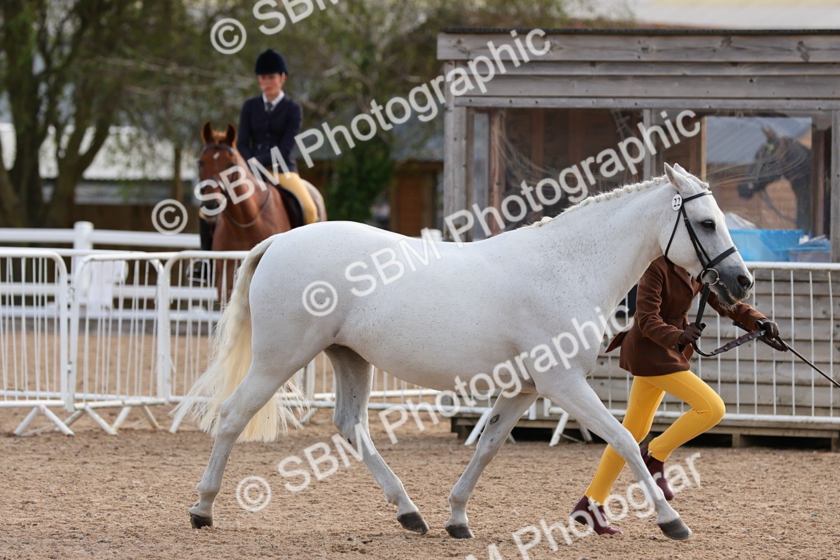 SBM_09231 - Class 204 - Young Handler