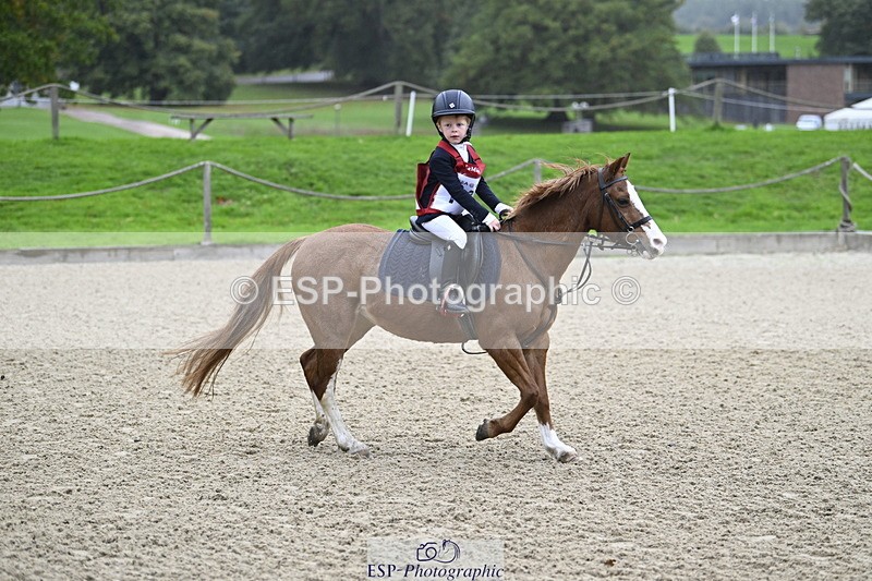 251005A-083253-02807 - Cls 01 GR 40cm