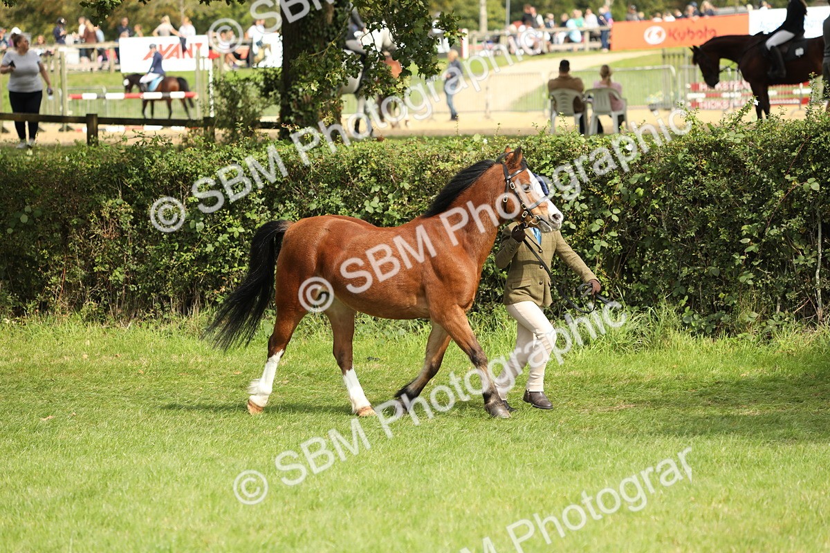 SBM_67718 - S39 - Junior Handler 8  Years & Under
