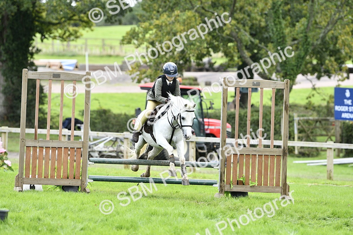 SBM_41281 - S32 - Mountain & Moorland Working Hunter Pony