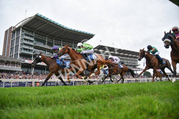 yr24072021r5-63 - Race 5 4.25pm Sky Bet Best Odds Guaranteed Stakes