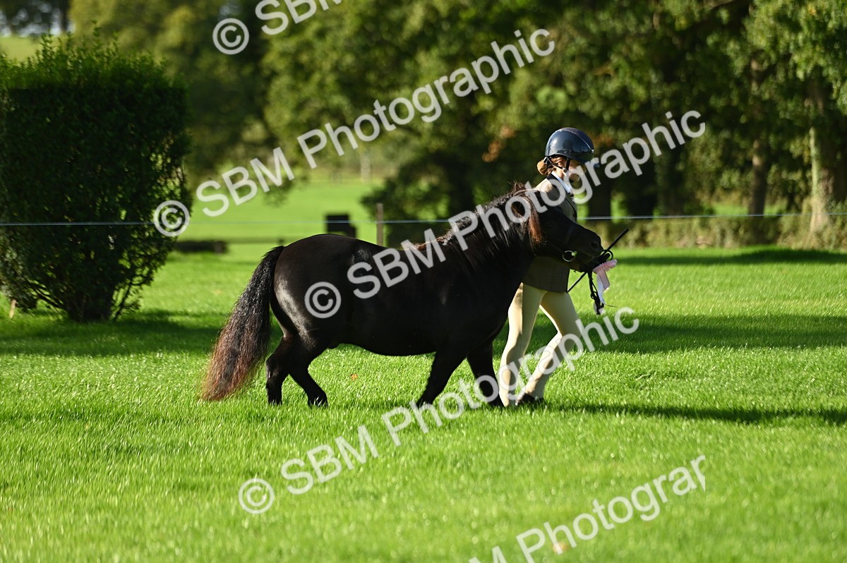 SBM_15817 - S1 - TSR in Hand Horse & Pony Showing
