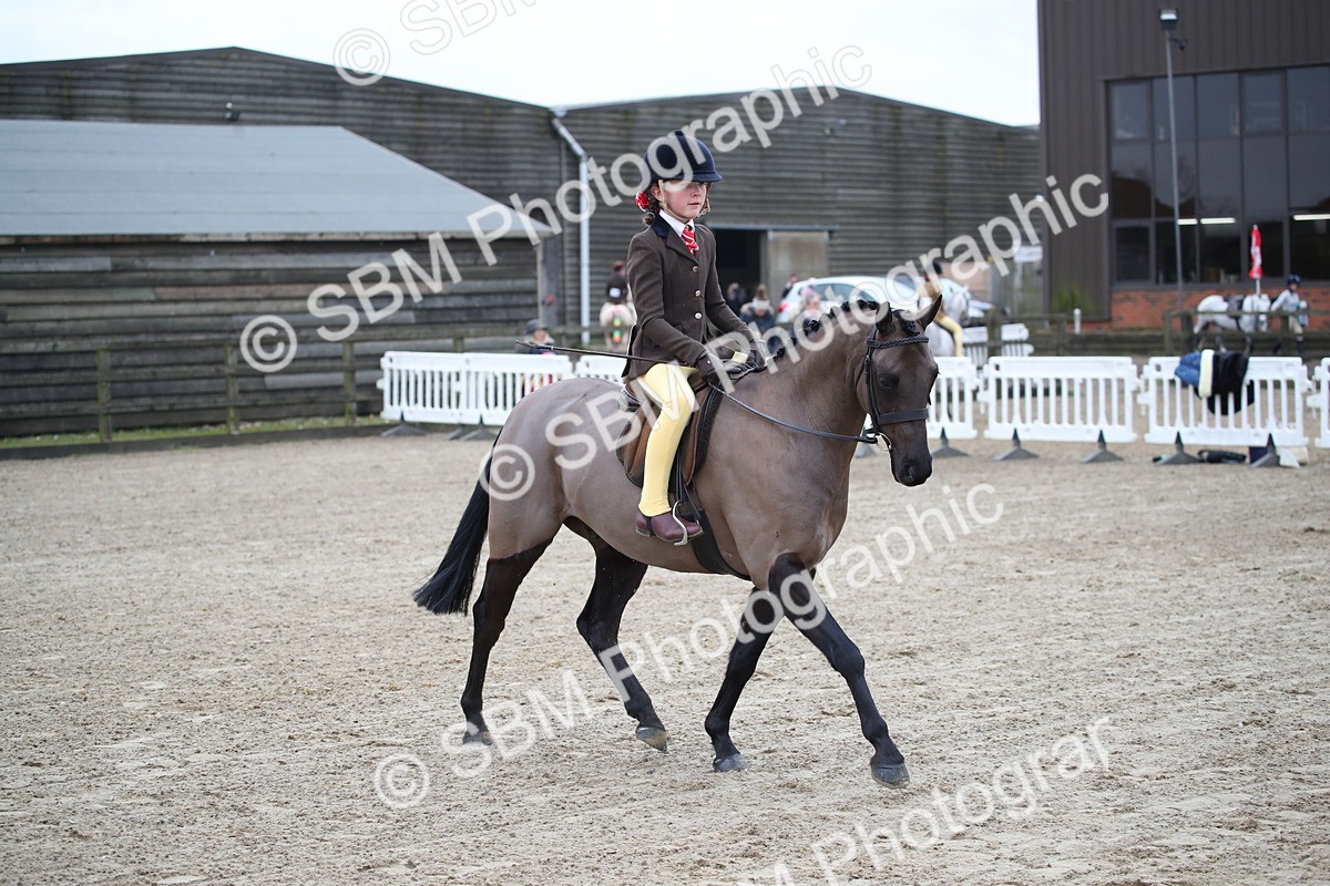 SBM_004617 - Class 5-9 - NPS In Hand-Show Hunter-Intermediate Ridden Inc Ridden Championship