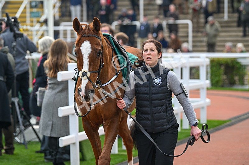 161124-Race 3-Paddock-San Salvador-9838 - Race 3