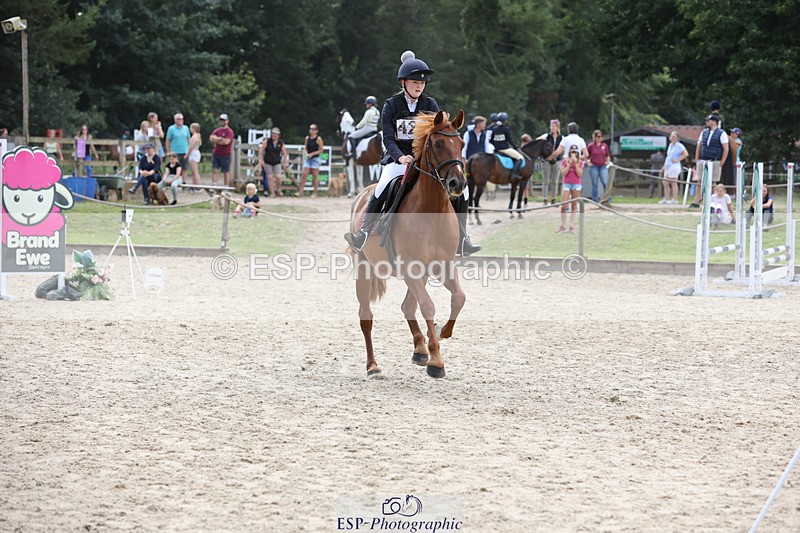 240823X-155154-19385 - 70cm Single Phase All