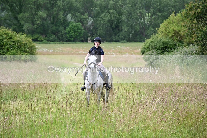 WJ6_7986 - Camera 1 Gallops