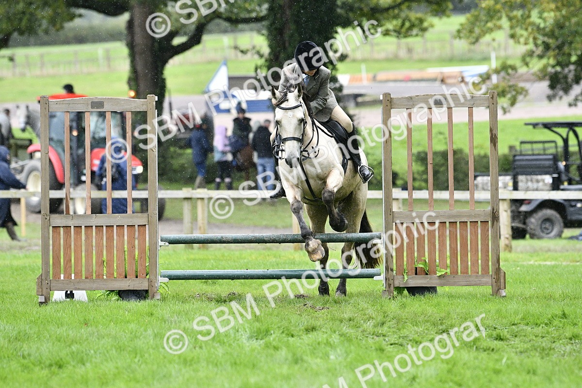 SBM_42292 - S32 - Mountain & Moorland Working Hunter Pony