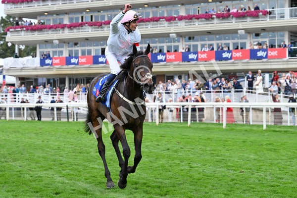 230825-143 Ethical Diamond - Race 4 3.35pm Sky Bet Ebor Handicap