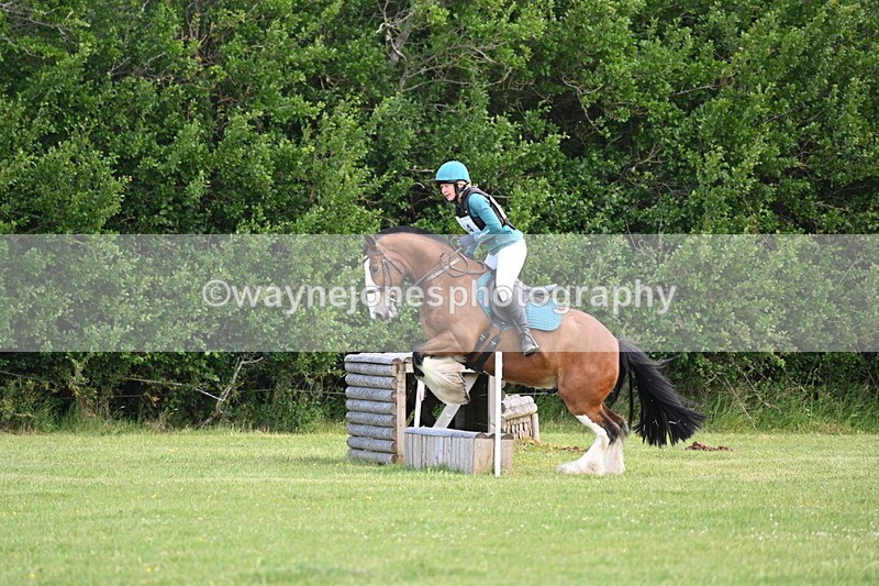 WJ6_2603 - Class 2 40cm