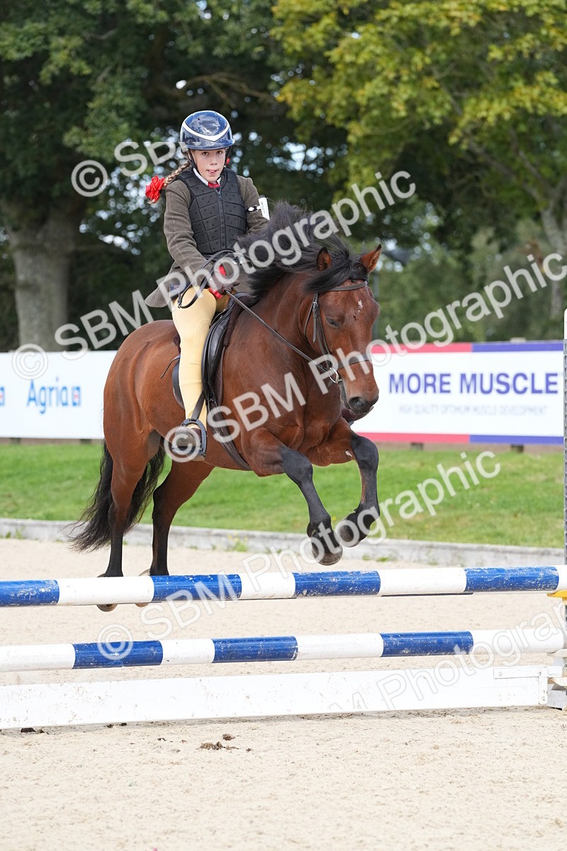 SBM_45135 - J47 - Ride & Run Open 60cm & 75cm