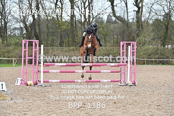 BPP_1186 - CLASS 4 Senior British Novice/ 90cm Open