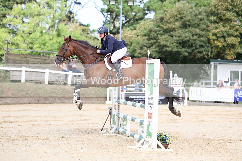 3E7A2142 - Class 4: Senior British Novice/90cm open