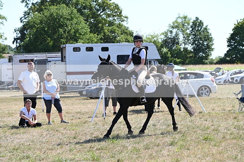 WJ6_8912 - Class 38 Ridden Riding Horse/Pony