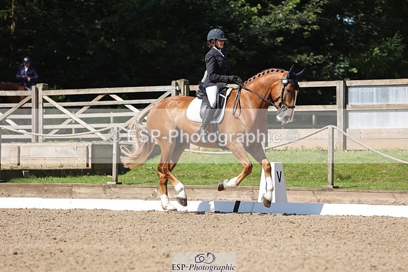 240719-103904-00752 - 223-Deborah_Randall-Sandy's_Bertie