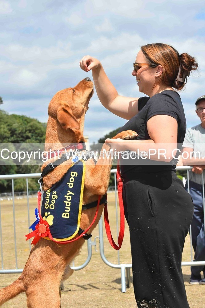 SH4_0264 - Dog show.