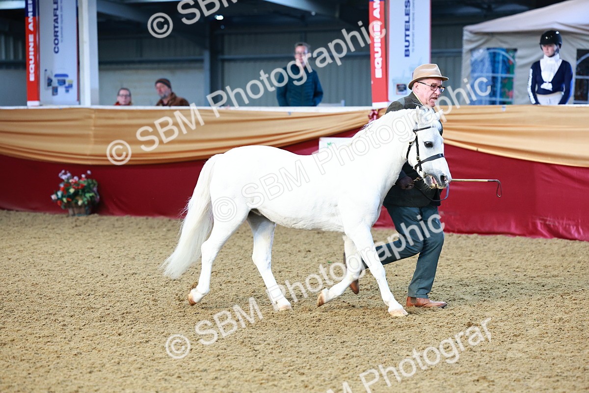 SBM_21741 - Class 901 - Supreme Final - IH  Diamond