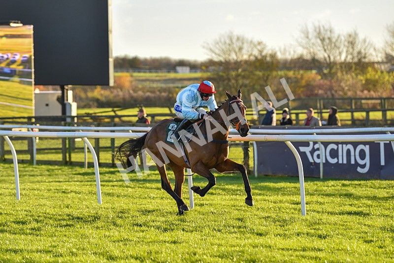 241123-Race 5-Bugise Seagull-7535 - Race 5