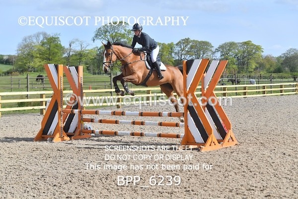 BPP_6239 - CLASS 32 MON Club/ Unaffiliated 80cms Open