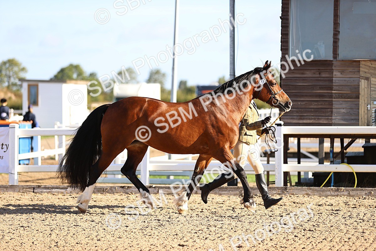 SBM_08424 - Class 402 - IH Veteran Pony