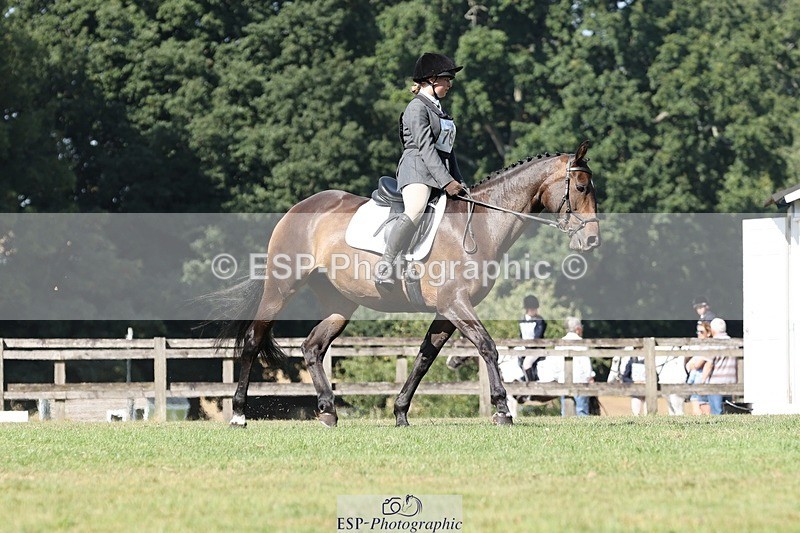 250823A-111110-27891 - Arena D