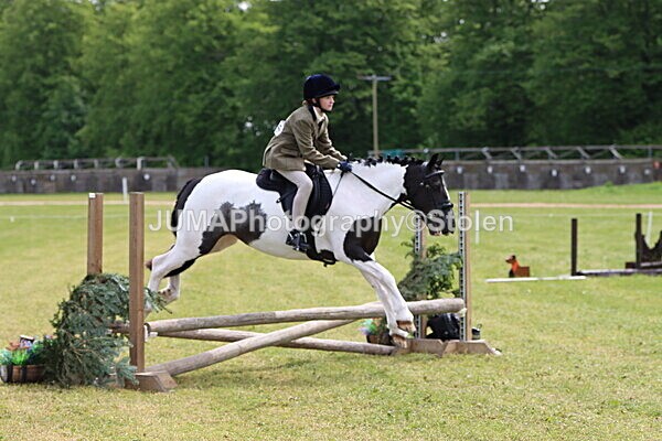 IMG_2905 - Working Hunter