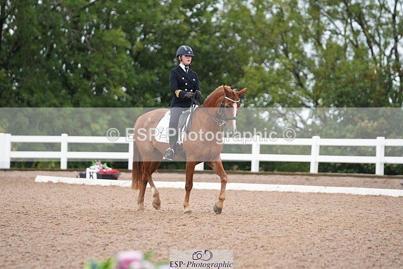 250907-154211-09613 - 122-India.JohnGrayswood.Orlando