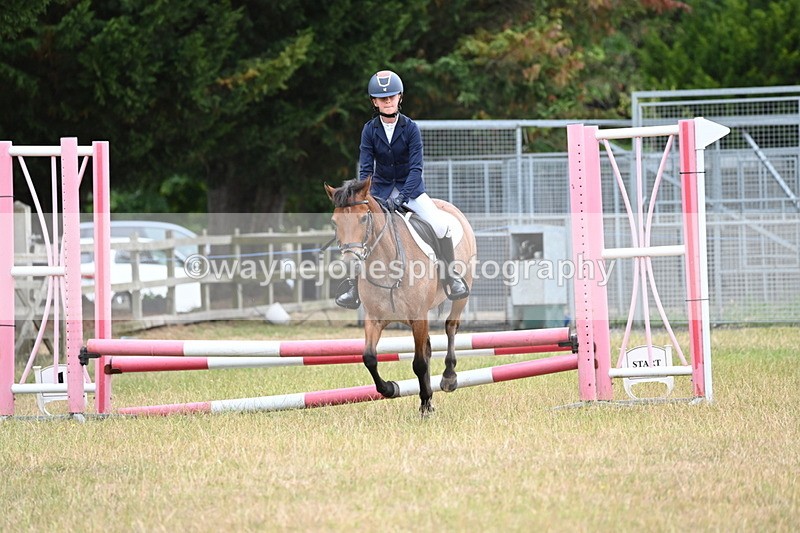 WJ6_9982 - Class 13 Novice Jumping 60cm