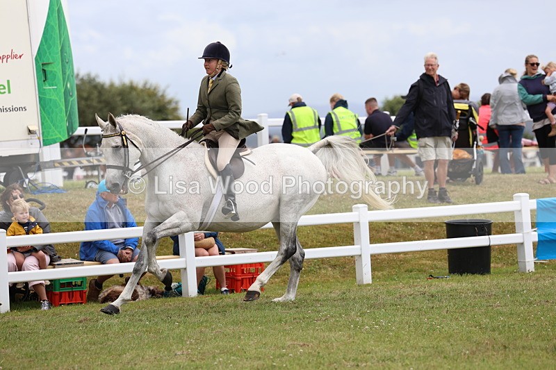 3E7A1026 - Class 8: Open Riding Horse/Hack