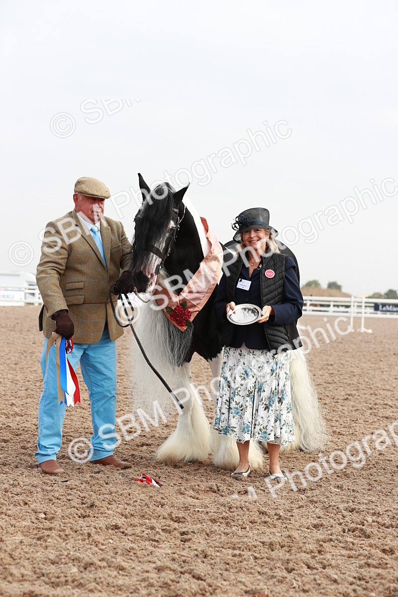 SBM_09567 - Class 201 Best Turned Out IH