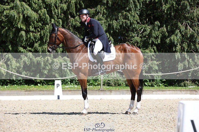 230526-145135-06570 - 375-FINLEY_DU_LOIR-Oliver_Townend-WEDTrotUp+DR