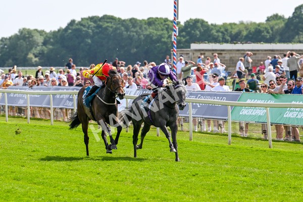 130625-Race 4-India Love-9225 - Race 4 3.35pm Juddmonte EBF Fillies' Restricted Novice Stakes