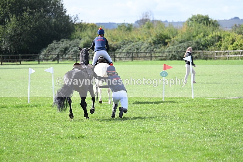 WJ7_8529 - 60cm Pairs