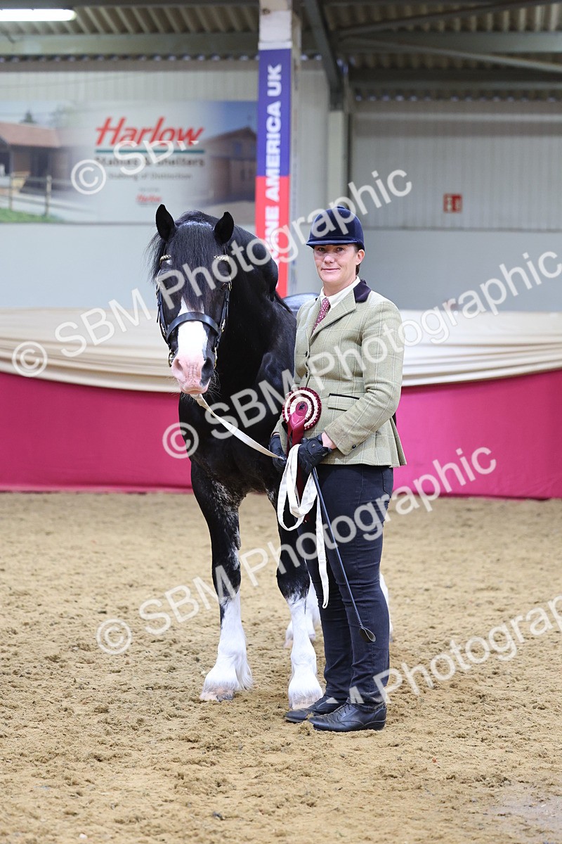 SBM_21120 - Class 902 - Supreme Final IH Veteran