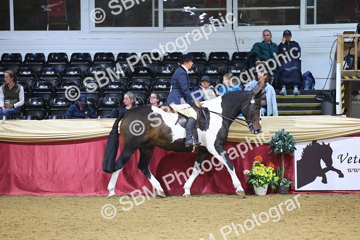 SBM_19120 - Class I Competition/ Riding Club Champ