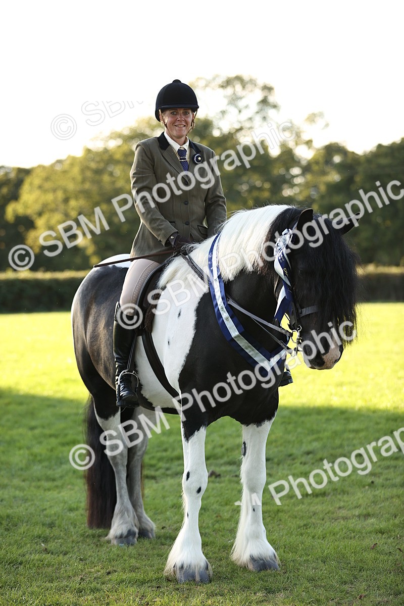 SBM_30140 - Novice & Newcomers Supreme Championship