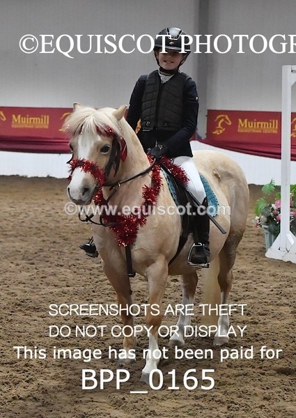 BPP_0165 - CLASS 2 40CM