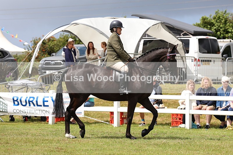 3E7A0862 - Class 8: Open Riding Horse/Hack