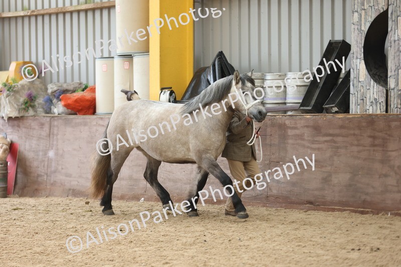 20251109-0880 - Class 26 - 2 and 4 Year Olds