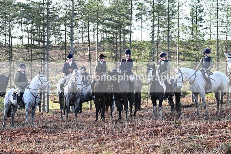 WJ7_7138 - Line 3 (no line 4 or 5)