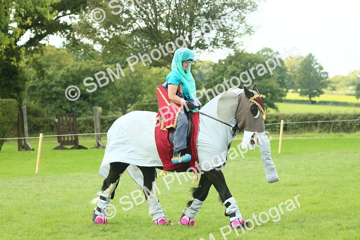 SBM_63691 - S35 - Fancy Dress Showing