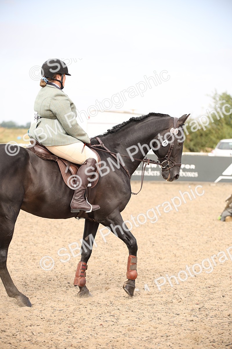 SBM_16119 - Class 409a - Working Veteran 80cm (15-19)