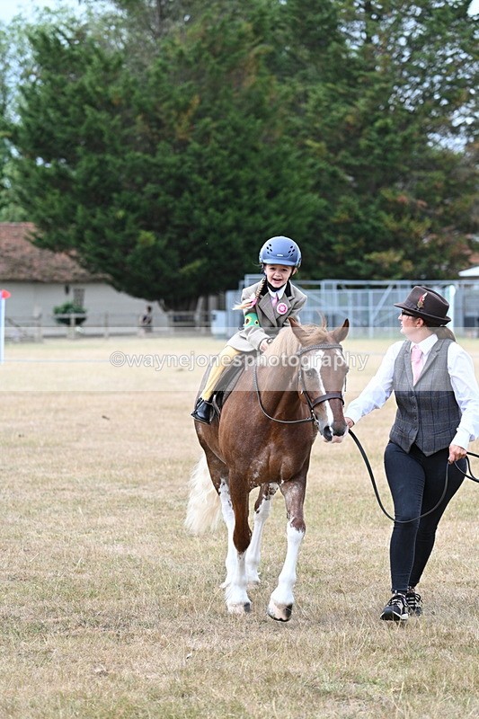 WJ7_6545 - Class 1 Lead Rein Pony
